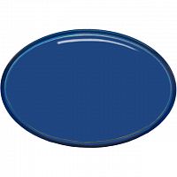 Магнит овальный с наполнителем (100х67 mm)